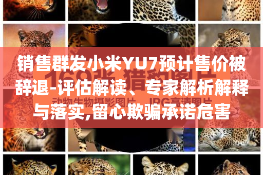 銷售群發(fā)小米YU7預(yù)計售價被辭退-評估解讀、專家解析解釋與落實,留心欺騙承諾危害