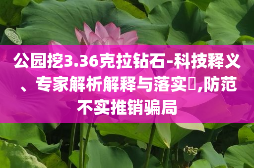 公園挖3.36克拉鉆石-科技釋義、專(zhuān)家解析解釋與落實(shí)?,防范不實(shí)推銷(xiāo)騙局