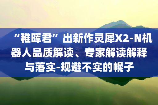 “稚暉君”出新作靈犀X2-N機(jī)器人品質(zhì)解讀、專(zhuān)家解讀解釋與落實(shí)-規(guī)避不實(shí)的幌子