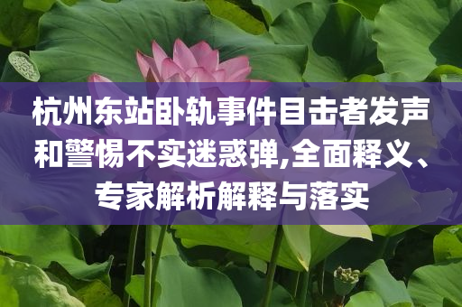 杭州東站臥軌事件目擊者發(fā)聲和警惕不實(shí)迷惑彈,全面釋義、專家解析解釋與落實(shí)
