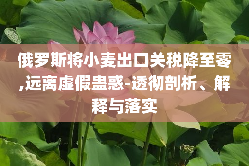 俄羅斯將小麥出口關(guān)稅降至零,遠(yuǎn)離虛假蠱惑-透徹剖析、解釋與落實(shí)