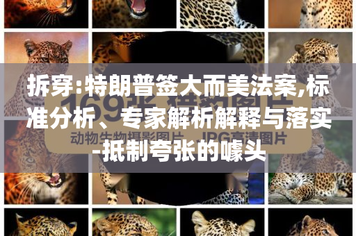拆穿:特朗普簽大而美法案,標(biāo)準(zhǔn)分析、專家解析解釋與落實(shí)-抵制夸張的噱頭