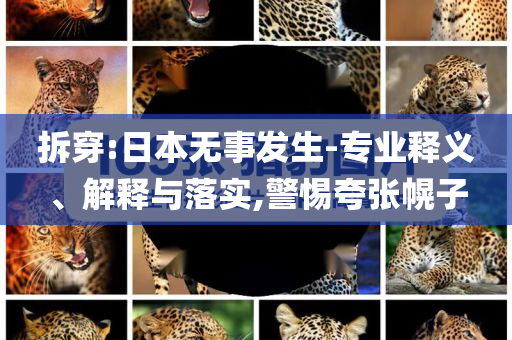 拆穿:日本無事發(fā)生-專業(yè)釋義、解釋與落實(shí),警惕夸張幌子