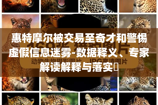 惠特摩爾被交易至奇才和警惕虛假信息迷霧-數(shù)據(jù)釋義、專家解讀解釋與落實(shí)?