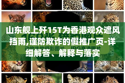 山東艦上殲15T為香港觀眾遮風擋雨,謹防欺詐的假推廣頁-詳細解答、解釋與落實