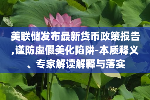 美聯(lián)儲(chǔ)發(fā)布最新貨幣政策報(bào)告,謹(jǐn)防虛假美化陷阱-本質(zhì)釋義、專(zhuān)家解讀解釋與落實(shí)