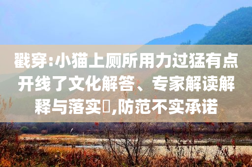 戳穿:小貓上廁所用力過猛有點開線了文化解答、專家解讀解釋與落實?,防范不實承諾