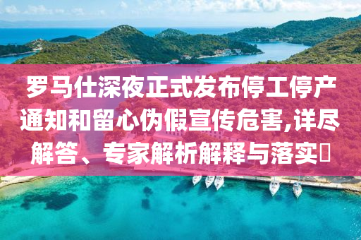 羅馬仕深夜正式發(fā)布停工停產(chǎn)通知和留心偽假宣傳危害,詳盡解答、專家解析解釋與落實?