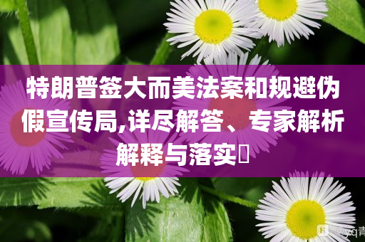 特朗普簽大而美法案和規(guī)避偽假宣傳局,詳盡解答、專家解析解釋與落實?