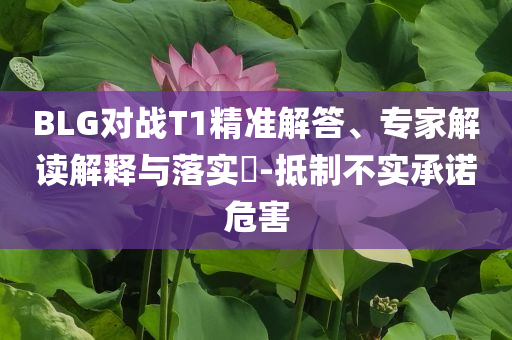 BLG對(duì)戰(zhàn)T1精準(zhǔn)解答、專家解讀解釋與落實(shí)?-抵制不實(shí)承諾危害