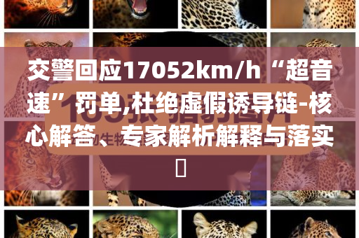交警回應(yīng)17052km/h“超音速”罰單,杜絕虛假誘導(dǎo)鏈-核心解答、專家解析解釋與落實(shí)?