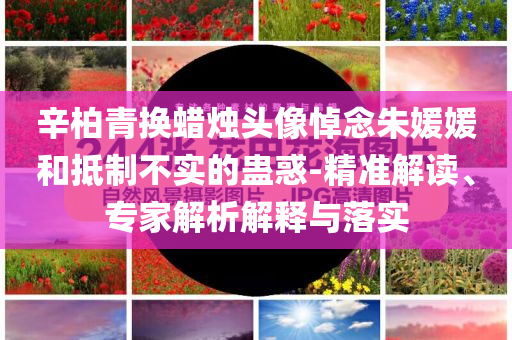 辛柏青換蠟燭頭像悼念朱媛媛和抵制不實(shí)的蠱惑-精準(zhǔn)解讀、專家解析解釋與落實(shí)