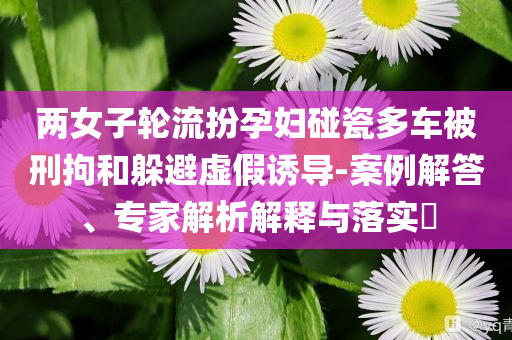 兩女子輪流扮孕婦碰瓷多車被刑拘和躲避虛假誘導-案例解答、專家解析解釋與落實?