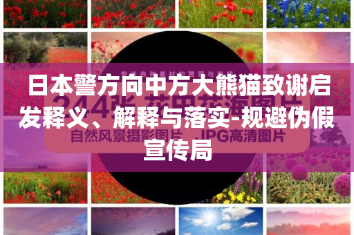 日本警方向中方大熊貓致謝啟發(fā)釋義、解釋與落實(shí)-規(guī)避偽假宣傳局