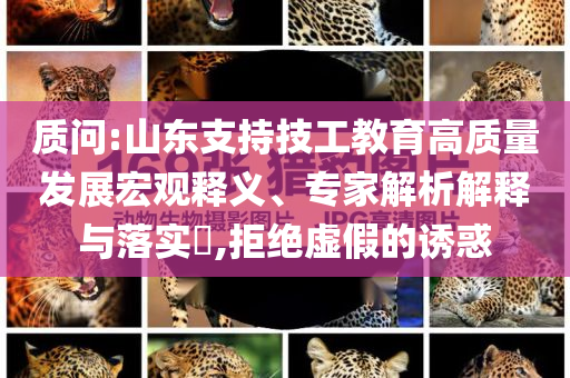 質(zhì)問:山東支持技工教育高質(zhì)量發(fā)展宏觀釋義、專家解析解釋與落實(shí)?,拒絕虛假的誘惑