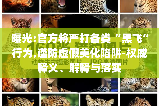曝光:官方將嚴(yán)打各類“黑飛”行為,謹(jǐn)防虛假美化陷阱-權(quán)威釋義、解釋與落實(shí)