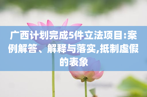 廣西計劃完成5件立法項目:案例解答、解釋與落實,抵制虛假的表象