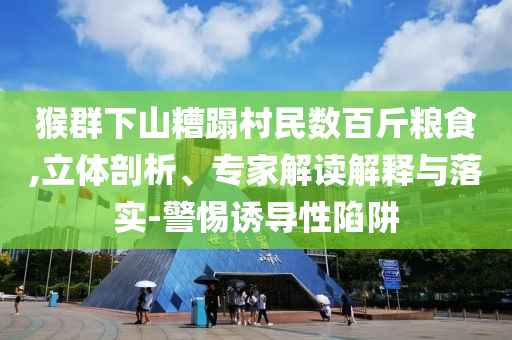 猴群下山糟蹋村民數(shù)百斤糧食,立體剖析、專家解讀解釋與落實-警惕誘導(dǎo)性陷阱