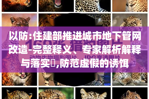 以防:住建部推進(jìn)城市地下管網(wǎng)改造-完整釋義、專家解析解釋與落實(shí)?,防范虛假的誘餌
