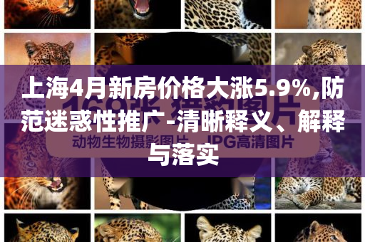 上海4月新房?jī)r(jià)格大漲5.9%,防范迷惑性推廣-清晰釋義、解釋與落實(shí)