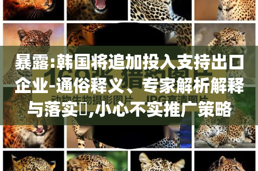 暴露:韓國(guó)將追加投入支持出口企業(yè)-通俗釋義、專家解析解釋與落實(shí)?,小心不實(shí)推廣策略