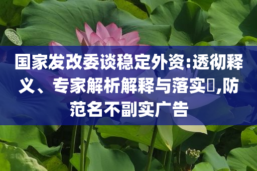 國(guó)家發(fā)改委談穩(wěn)定外資:透徹釋義、專家解析解釋與落實(shí)?,防范名不副實(shí)廣告