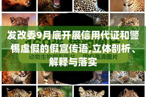 發(fā)改委9月底開展信用代證和警惕虛假的假宣傳語,立體剖析、解釋與落實(shí)
