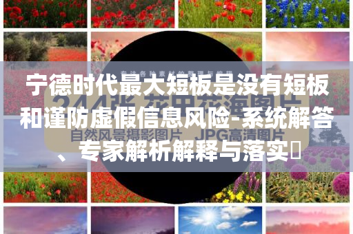 寧德時(shí)代最大短板是沒(méi)有短板和謹(jǐn)防虛假信息風(fēng)險(xiǎn)-系統(tǒng)解答、專家解析解釋與落實(shí)?