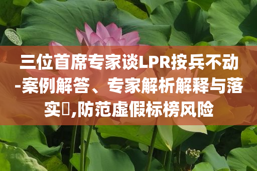 三位首席專家談LPR按兵不動(dòng)-案例解答、專家解析解釋與落實(shí)?,防范虛假標(biāo)榜風(fēng)險(xiǎn)
