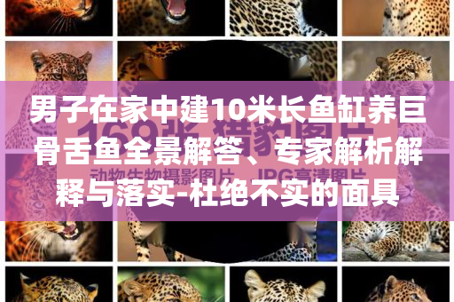 男子在家中建10米長魚缸養(yǎng)巨骨舌魚全景解答、專家解析解釋與落實-杜絕不實的面具