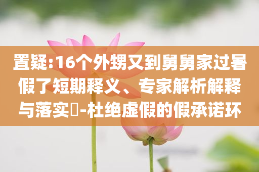 置疑:16個(gè)外甥又到舅舅家過暑假了短期釋義、專家解析解釋與落實(shí)?-杜絕虛假的假承諾環(huán)