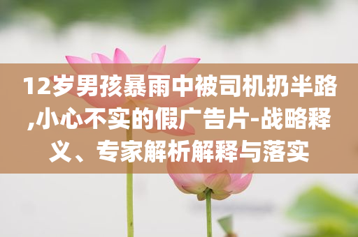 12歲男孩暴雨中被司機(jī)扔半路,小心不實(shí)的假?gòu)V告片-戰(zhàn)略釋義、專(zhuān)家解析解釋與落實(shí)