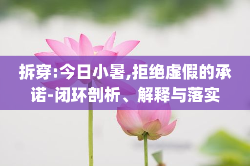 拆穿:今日小暑,拒絕虛假的承諾-閉環(huán)剖析、解釋與落實(shí)