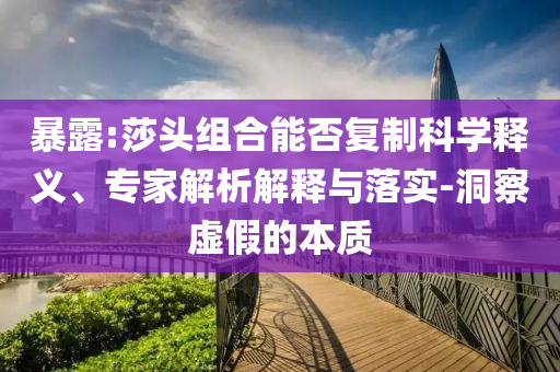 暴露:莎頭組合能否復(fù)制科學(xué)釋義、專家解析解釋與落實(shí)-洞察虛假的本質(zhì)