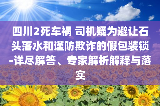四川2死車禍 司機(jī)疑為避讓石頭落水和謹(jǐn)防欺詐的假包裝鎖-詳盡解答、專家解析解釋與落實(shí)