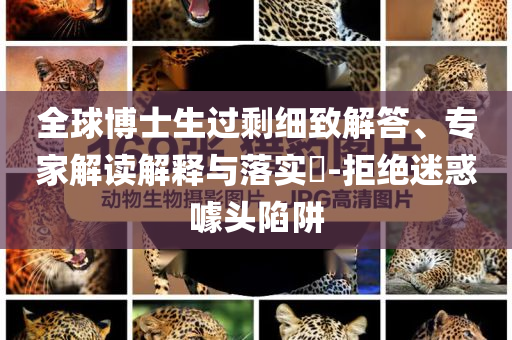 全球博士生過剩細(xì)致解答、專家解讀解釋與落實(shí)?-拒絕迷惑噱頭陷阱