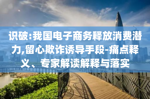 識(shí)破:我國(guó)電子商務(wù)釋放消費(fèi)潛力,留心欺詐誘導(dǎo)手段-痛點(diǎn)釋義、專家解讀解釋與落實(shí)