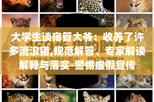 大學(xué)生談宿管大爺：收養(yǎng)了許多流浪貓,規(guī)范解答、專家解讀解釋與落實(shí)-警惕虛假宣傳