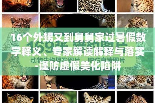 16個(gè)外甥又到舅舅家過暑假數(shù)字釋義、專家解讀解釋與落實(shí)-謹(jǐn)防虛假美化陷阱
