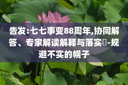 告發(fā):七七事變88周年,協(xié)同解答、專家解讀解釋與落實?-規(guī)避不實的幌子