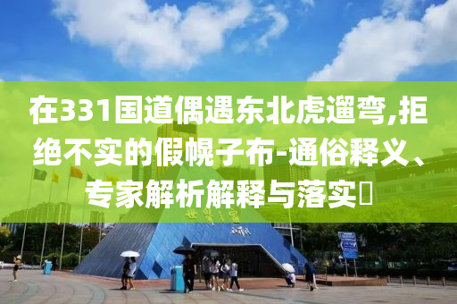 在331國(guó)道偶遇東北虎遛彎,拒絕不實(shí)的假幌子布-通俗釋義、專家解析解釋與落實(shí)?
