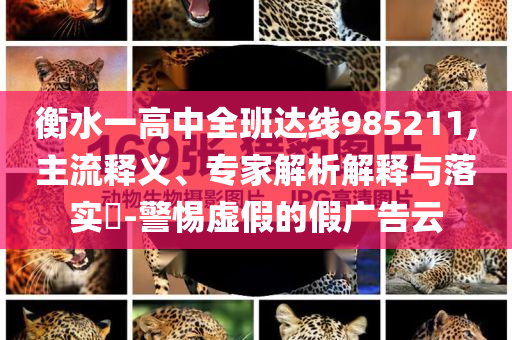 衡水一高中全班達(dá)線985211,主流釋義、專家解析解釋與落實(shí)?-警惕虛假的假?gòu)V告云
