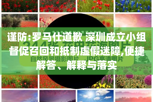 謹(jǐn)防:羅馬仕道歉 深圳成立小組督促召回和抵制虛假迷障,便捷解答、解釋與落實(shí)