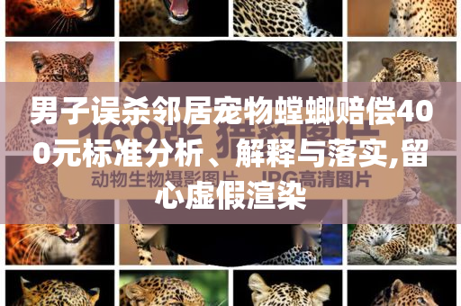 男子誤殺鄰居寵物螳螂賠償400元標(biāo)準(zhǔn)分析、解釋與落實,留心虛假渲染
