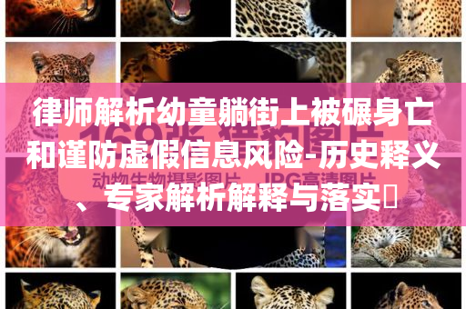 律師解析幼童躺街上被碾身亡和謹防虛假信息風(fēng)險-歷史釋義、專家解析解釋與落實?
