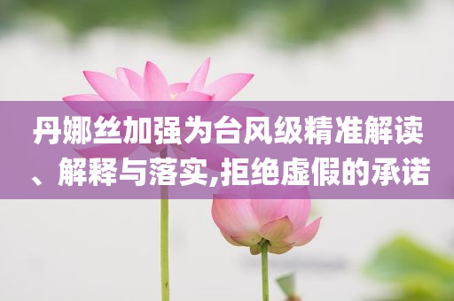 丹娜絲加強為臺風(fēng)級精準解讀、解釋與落實,拒絕虛假的承諾