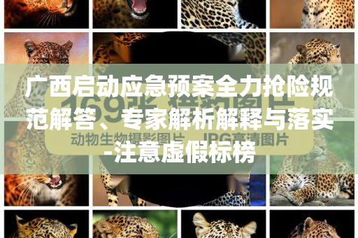 廣西啟動(dòng)應(yīng)急預(yù)案全力搶險(xiǎn)規(guī)范解答、專(zhuān)家解析解釋與落實(shí)-注意虛假標(biāo)榜