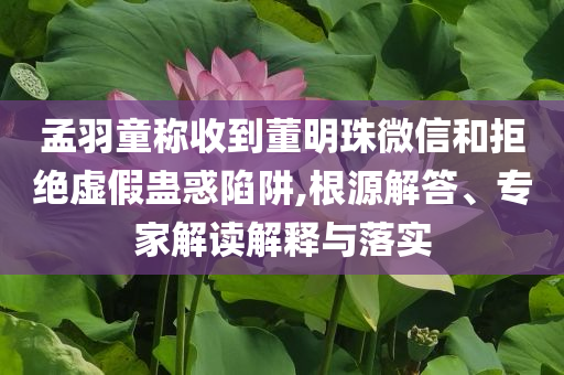 孟羽童稱收到董明珠微信和拒絕虛假蠱惑陷阱,根源解答、專家解讀解釋與落實