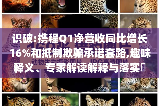 識破:攜程Q1凈營收同比增長16%和抵制欺騙承諾套路,趣味釋義、專家解讀解釋與落實?