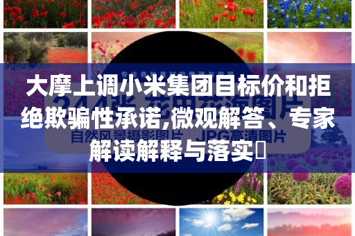 大摩上調(diào)小米集團(tuán)目標(biāo)價和拒絕欺騙性承諾,微觀解答、專家解讀解釋與落實?